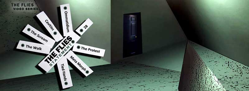 The Flies Video Series 2012
